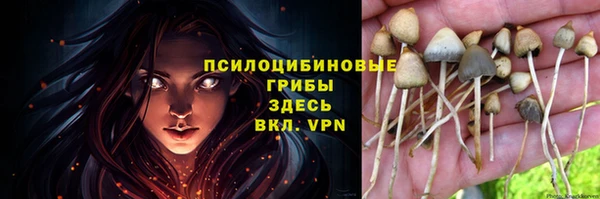 таблы Белоозёрский