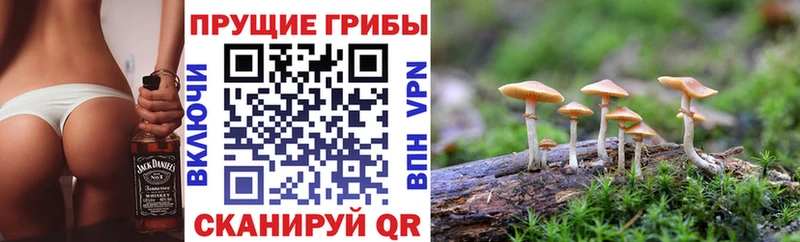 нарко площадка как зайти  Волоколамск  Галлюциногенные грибы MAGIC MUSHROOMS 